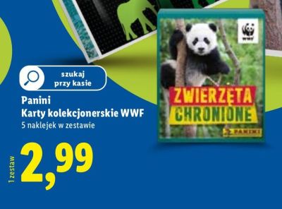 Karty kolekcjonerskie promocja w Lidl