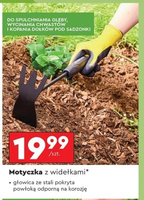 Motyczka Gerlach promocja