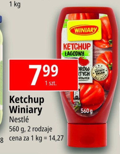 Ketchup łagodny Winiary promocja w Leclerc