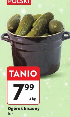 Ogórek kiszony luz promocja w Intermarche