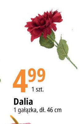 Dalia 46 cm promocja