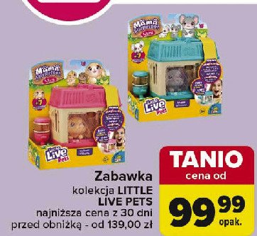 Myszka z klatką Little live pets promocja