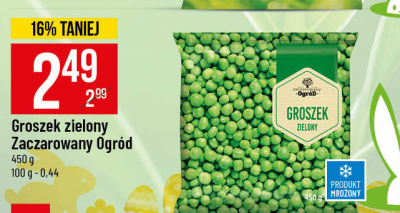 Groszek zielony