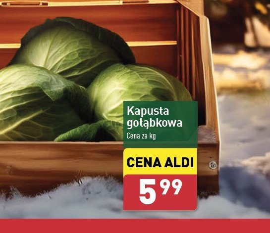 Kapusta gołąbkowa promocja