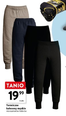 Termiczne kalesony męskie, różne rozmiary i kolory promocja w Intermarche