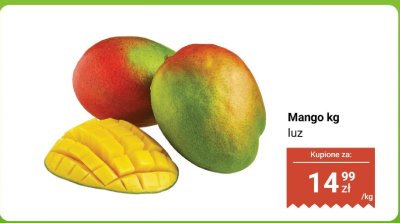 Mango luz promocja w Dino