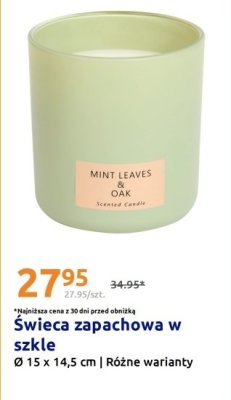 Świeca zapachowa w szkle Mint Leaves & Oak promocja w Action