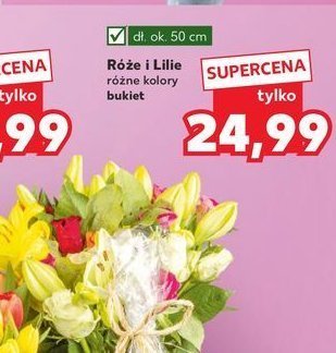 Róże i lilie promocja w Kaufland