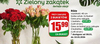 Róże 11 szt. promocja w Dino
