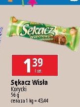 S臋kacz orzechowy Wis艂a promocja