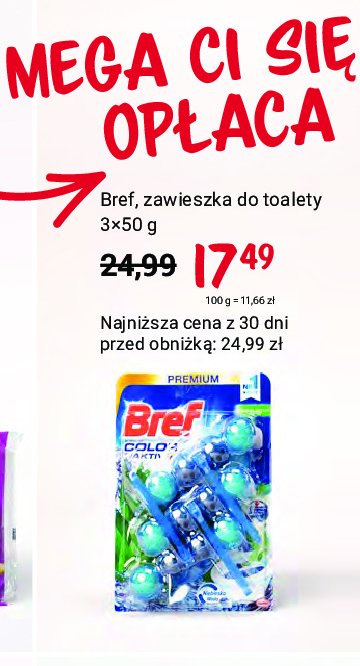 Zawieszka do wc eukaliptus Bref color aktiv promocja