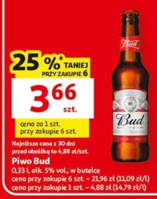 Piwo Bud promocja w Auchan