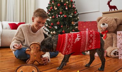 DOM PEŁEN MAGII - KATALOG DEKORACJI, strona 41 promocja w Dealz