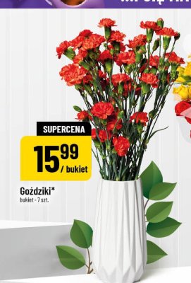 Goździki bukiet 7 szt. promocja w POLOmarket