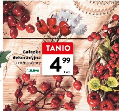 Gałązka dekoracyjna, różne wzory promocja w Intermarche