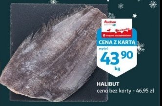 Halibut promocja
