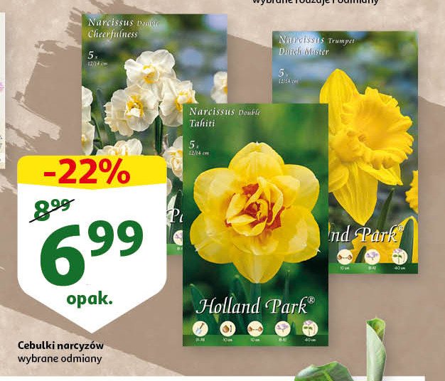 Cebule kwiatowe narcyzów HOLLAND PARK promocja