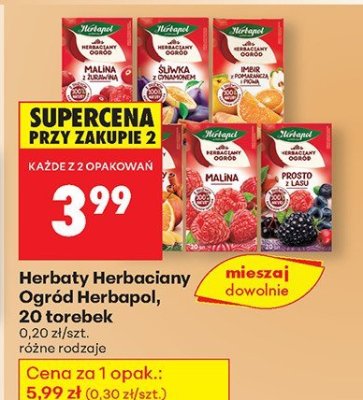 Herbaty Herbaciany Ogród, 20 torebek, różne rodzaje promocja w Biedronka