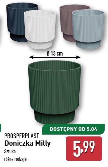 Doniczka milly round 13 cm Prosperplast promocja w Aldi