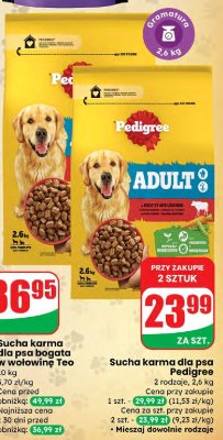 Sucha karma dla psa Pedigree Adult promocja w Dino