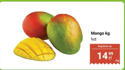 Mango luz promocja w Dino