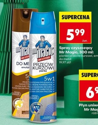 Spray czyszczący Mr Magic, 300 ml: pianka przeciw kurzowi promocja w Biedronka