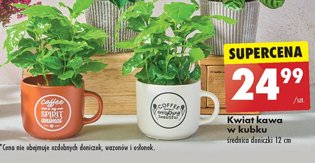 Kawa w ceramicznym kubku promocja