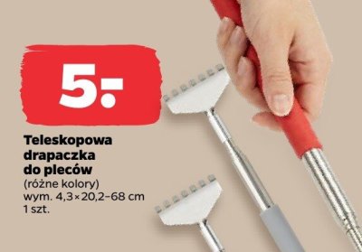 Teleskopowa drapaczka do pleców (różne kolory) promocja w Netto