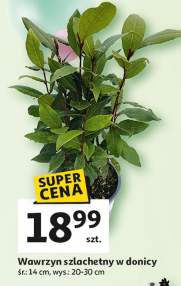 Wawrzyn promocja