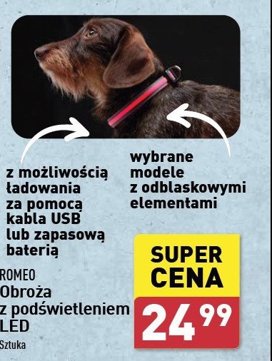 Obroża dla psa led Romeo promocja