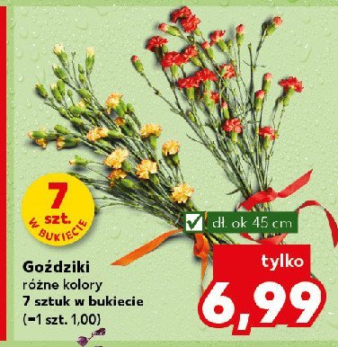 Goździki bukiet promocja w Kaufland