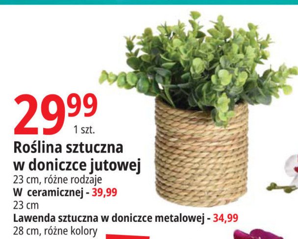 Ro艣lina sztuczna w doniczce ceramicznej promocja