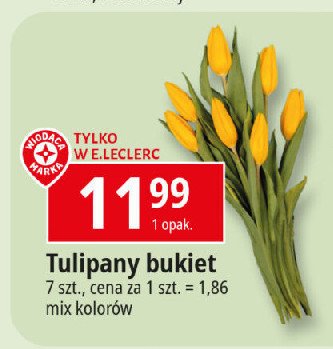 Tulipany Wiodąca marka promocja w Leclerc