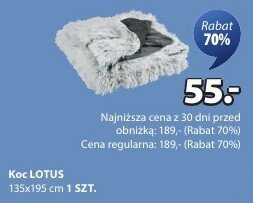 Koc LOTUS promocja w Jysk