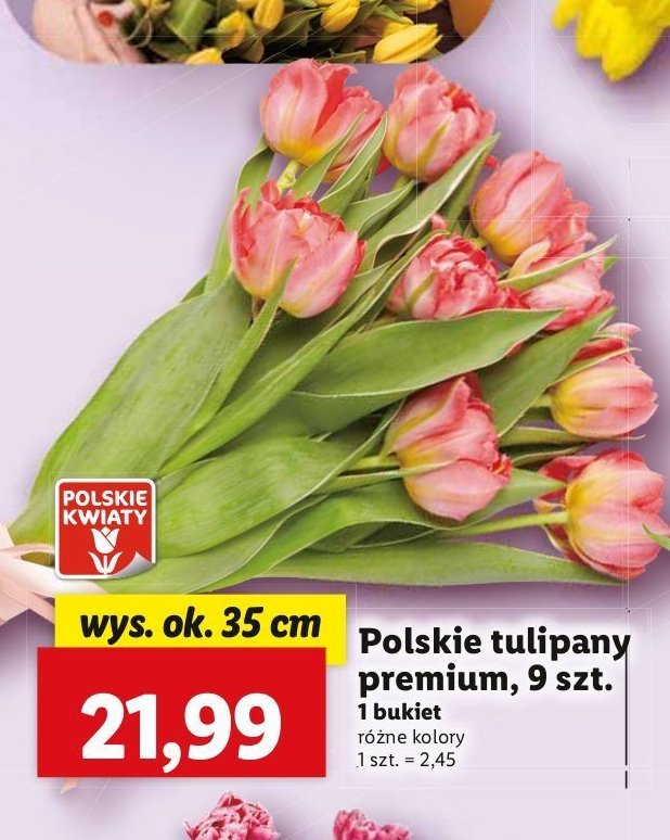 Tulipany premium 35 cm promocja