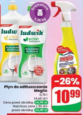 Płyn do odtłuszczania Meglio promocja w Dino