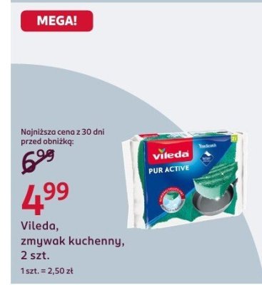 Zmywak kuchenny, Pur Active, 2 szt. promocja w Rossmann