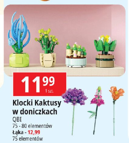 Klocki kaktusy Qbi promocja w Leclerc