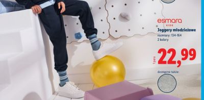 Joggery młodzieżowe, rozmiary: 134-164 promocja w Lidl