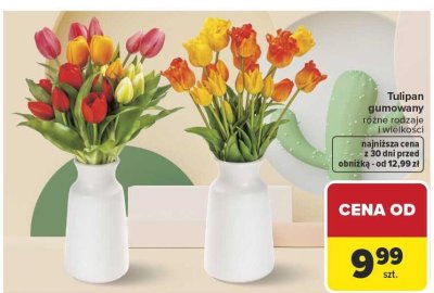 Tulipan gumowany różne rodzaje i wielkości promocja w Carrefour