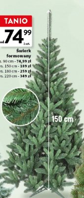 Świerk formowany 90 cm promocja w Intermarche