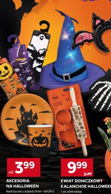 Akcesoria na Halloween promocja w Stokrotka