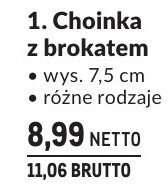Choinka z brokatem promocja w Makro
