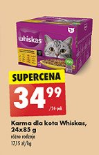 Potrawka w galaretce z kurczakiem Whiskas promocja