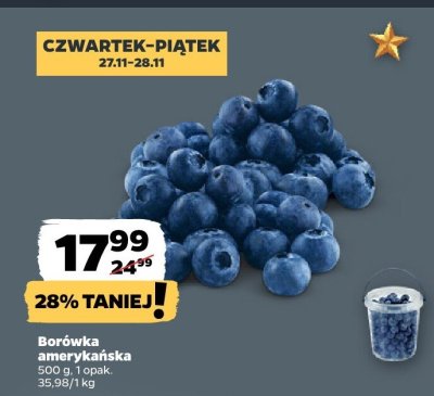 Borówka amerykańska bio promocja w Netto