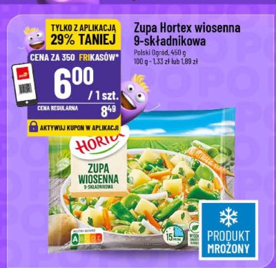 Zupa wiosenna 9-składnikowa Hortex promocja w POLOmarket