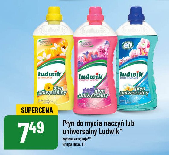 P艂yn uniwersalny wiosenny ogr贸d Ludwik promocja
