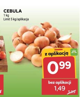 Cebula promocja w Stokrotka