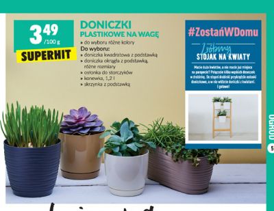 Doniczki promocja