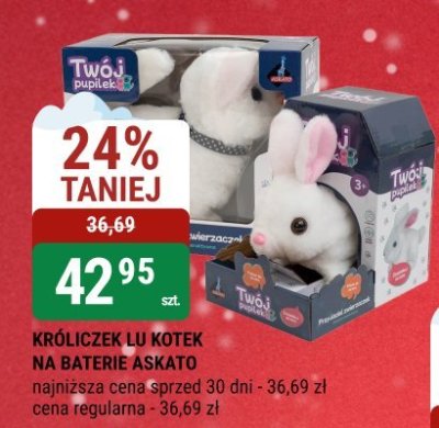 Króliczek lu kotek na baterie Askato promocja w bi1